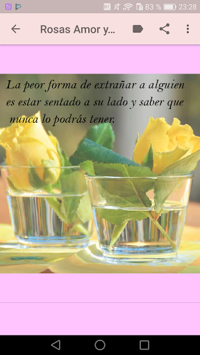 Rosas de Amor y Amistad