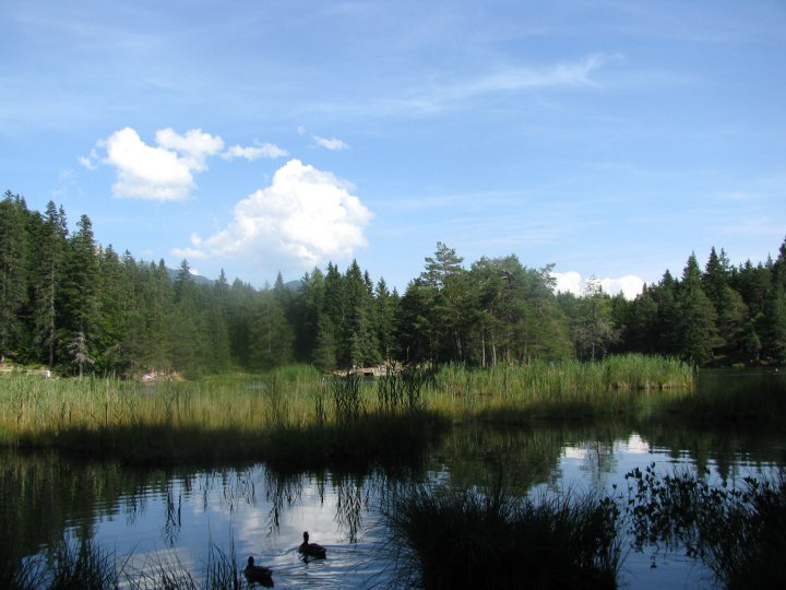 Tra le montagne : di Piumi