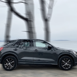 Q2 1.0 TFSI