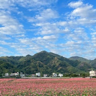 老古的家庭園餐廳