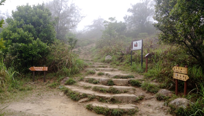 鳳凰山往水口引水道