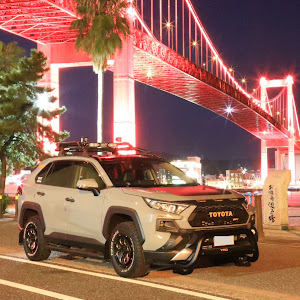 RAV4 MXAA54