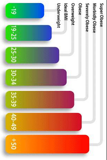 Body Mass Index BMI Calculator