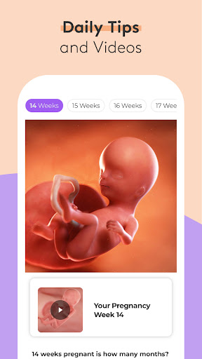 Screenshot Pregnancy Tracker & Baby App