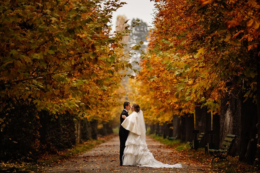 Fotógrafo de bodas Vali Matei (matei). Foto del 26 de febrero 2016