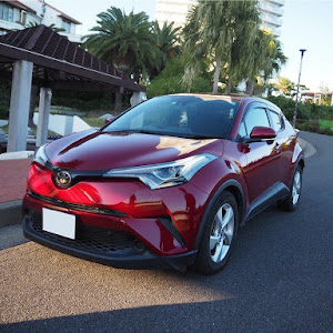 C-HR NGX10