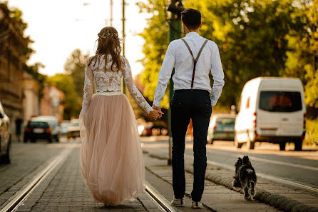 Photographe de mariage Tudor Popa (tudor). Photo du 23 janvier 2018