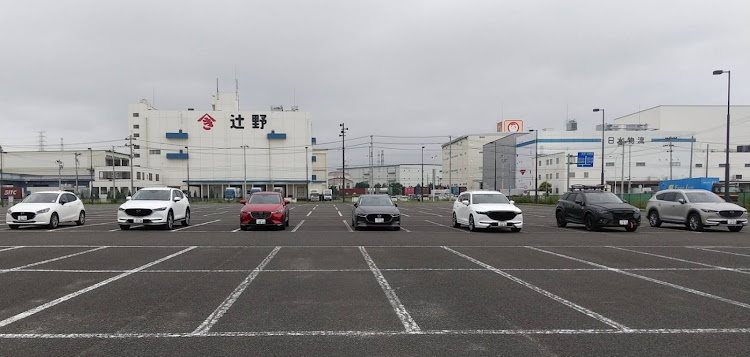 MAZDA2のrai-zoさんが投稿したカスタム事例の投稿画像1枚目