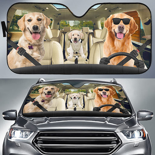 Title 9, Car Sunshade Front Gear Heat Insulation Free Pu...
