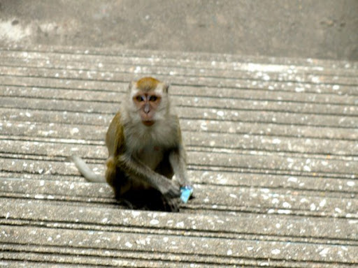 Batu Caves Kuala Lumpur 2010