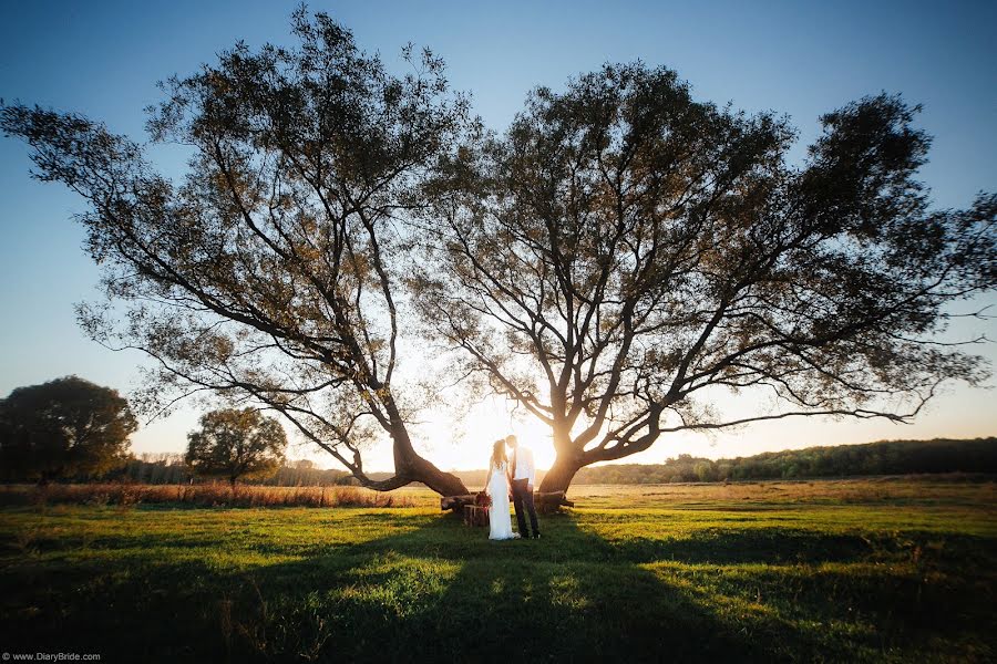 Wedding photographer Aleksandr Sergeevich (cinemawork). Photo of 19 November 2015