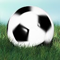 Icon 3D Football Juggling