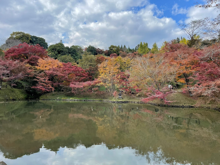 の投稿画像11枚目