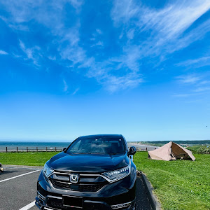 CR-V RT6