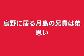 「烏野に居る月島の兄貴は弟思い」のメインビジュアル