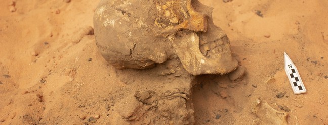 Novo esqueleto encontrado com braceletes indica existência de 'templo' indígena em Guaribas, no Sul do Piauí — Foto: Geraldo Pereira de Morais Júnior