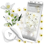 Cover Image of Download White Flower Launcher Theme 1.1 APK