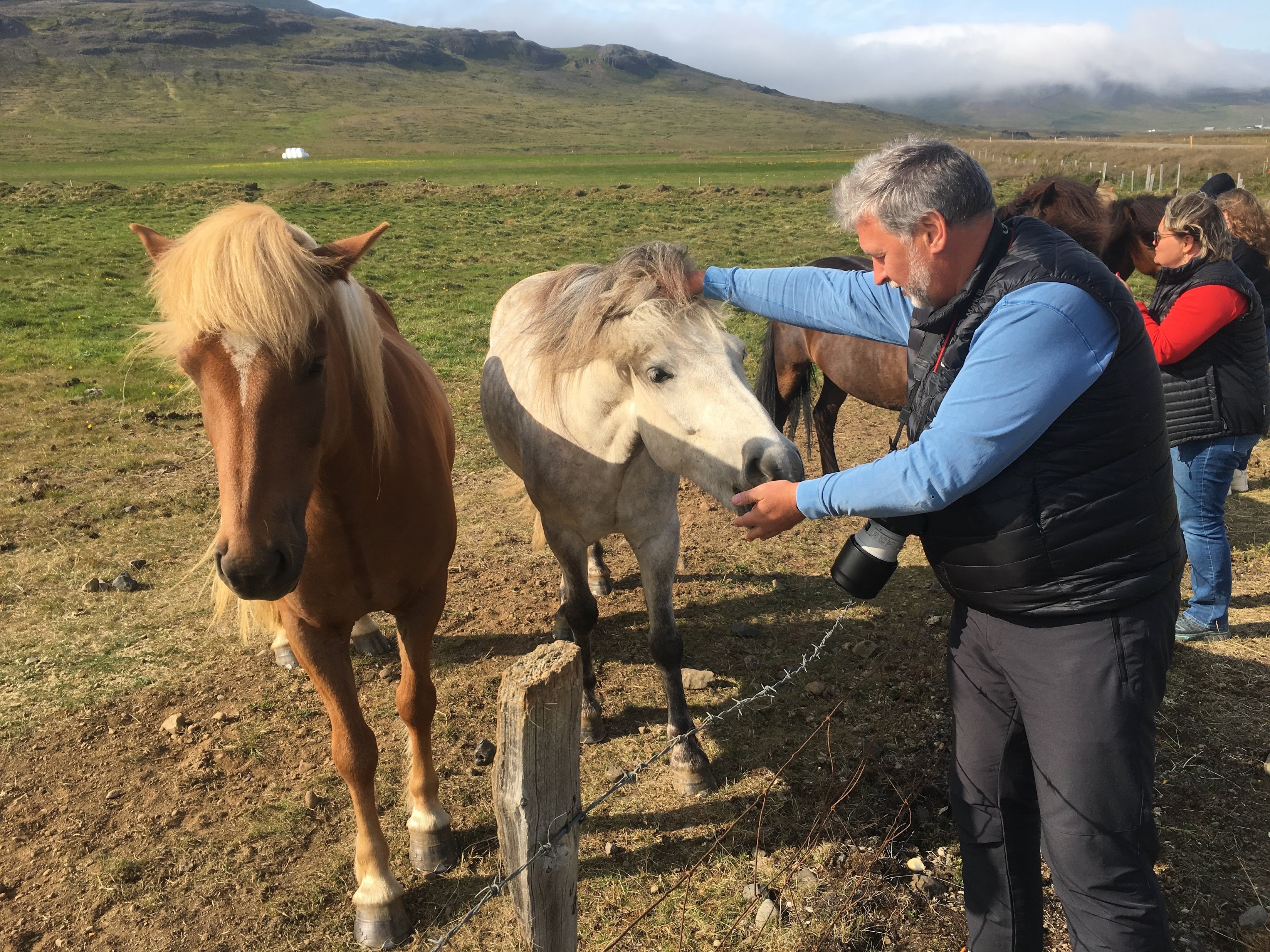 Исландия - родина слонов (архипелаг Vestmannaeyjar, юг, север, запад и Центр Пустоты)