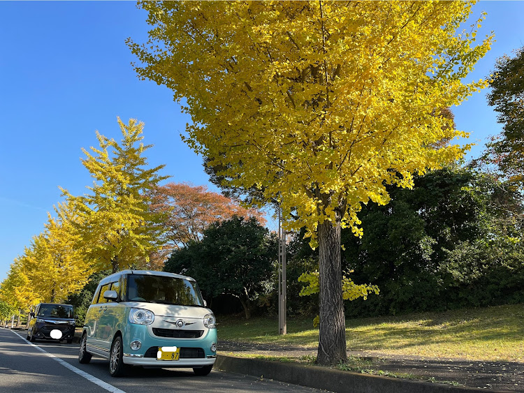 の投稿画像2枚目