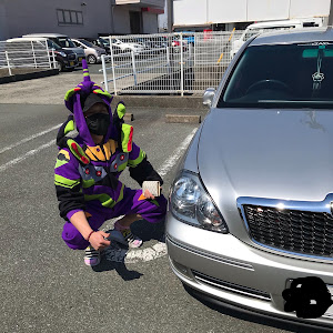 ブレビス