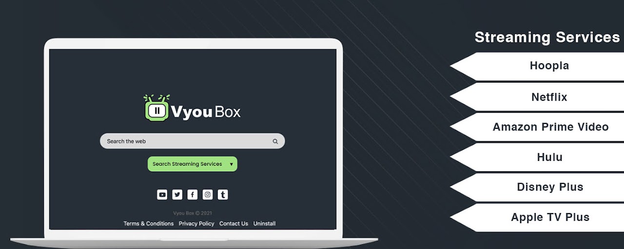 Vyou Box Preview image 2