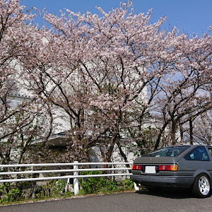 カローラレビン AE86