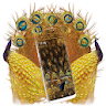 Golden Peacock Feather Launche icon