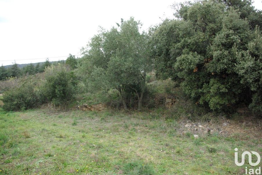 Vente terrain  1340 m² à Félines-Minervois (34210), 79 000 €