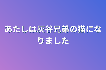 あたしは灰谷兄弟の猫になりました