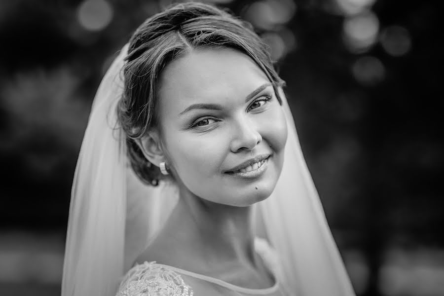 Fotografo di matrimoni Mikhail Pivovarov (stray). Foto del 4 novembre 2018