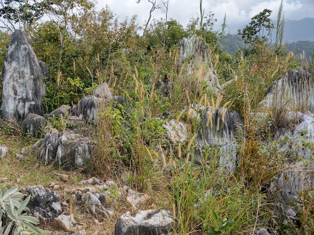 Bukit Gua Musang peak