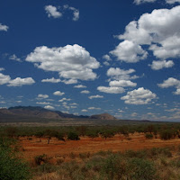 Safari in Kenya di 