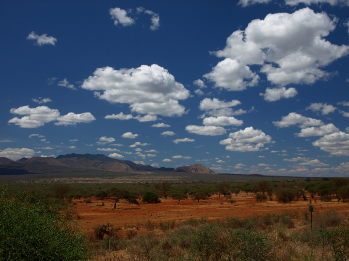 Safari in Kenya di clamon