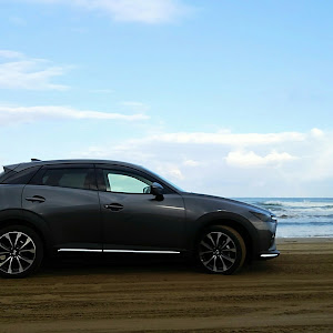 CX-3 DKEFW