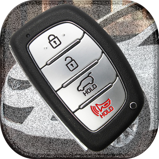 Car Key Remote