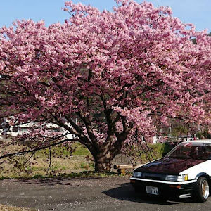 カローラレビン AE86