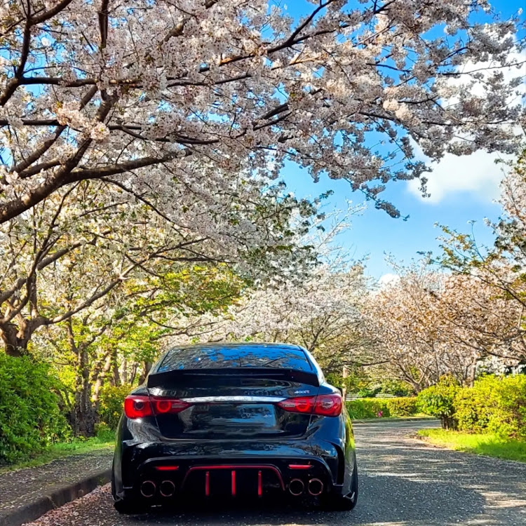 スカイラインの2023ベストショット4月・4月にエントリーします・ピックアップされたい・桜と愛車・550Rと共にに関するカスタム事例の投稿画像1枚目