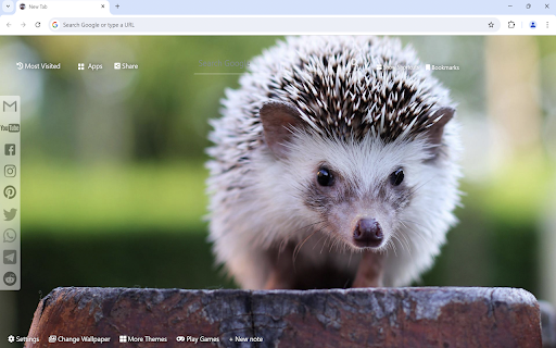 Hedgehog Wallpaper