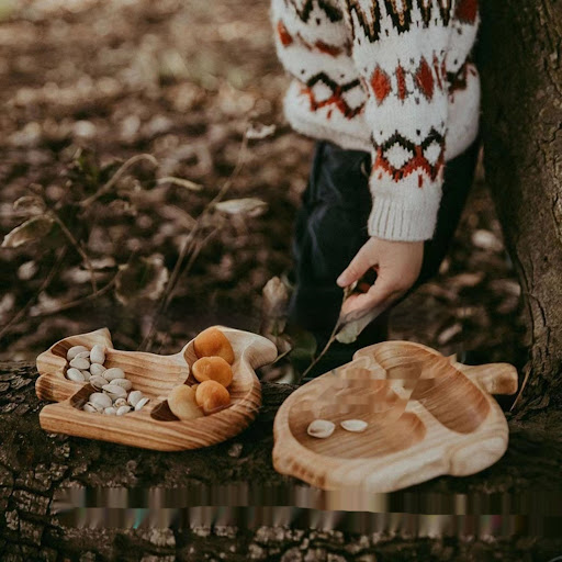 Title 1, Popular Squirrel Chestnut Fruit Plate Provides ...