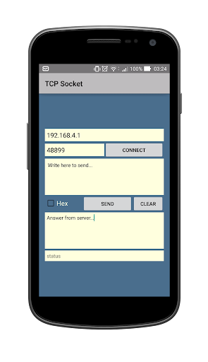 TCP Socket