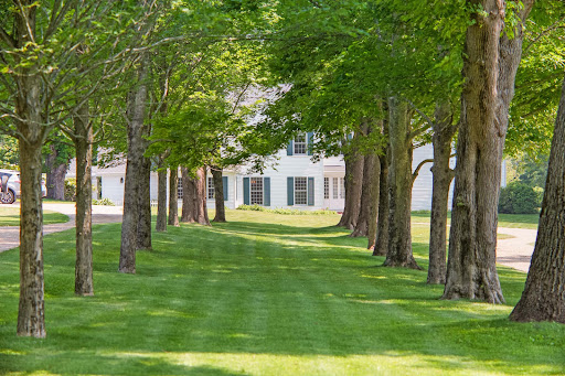 Property with pool and garden 2