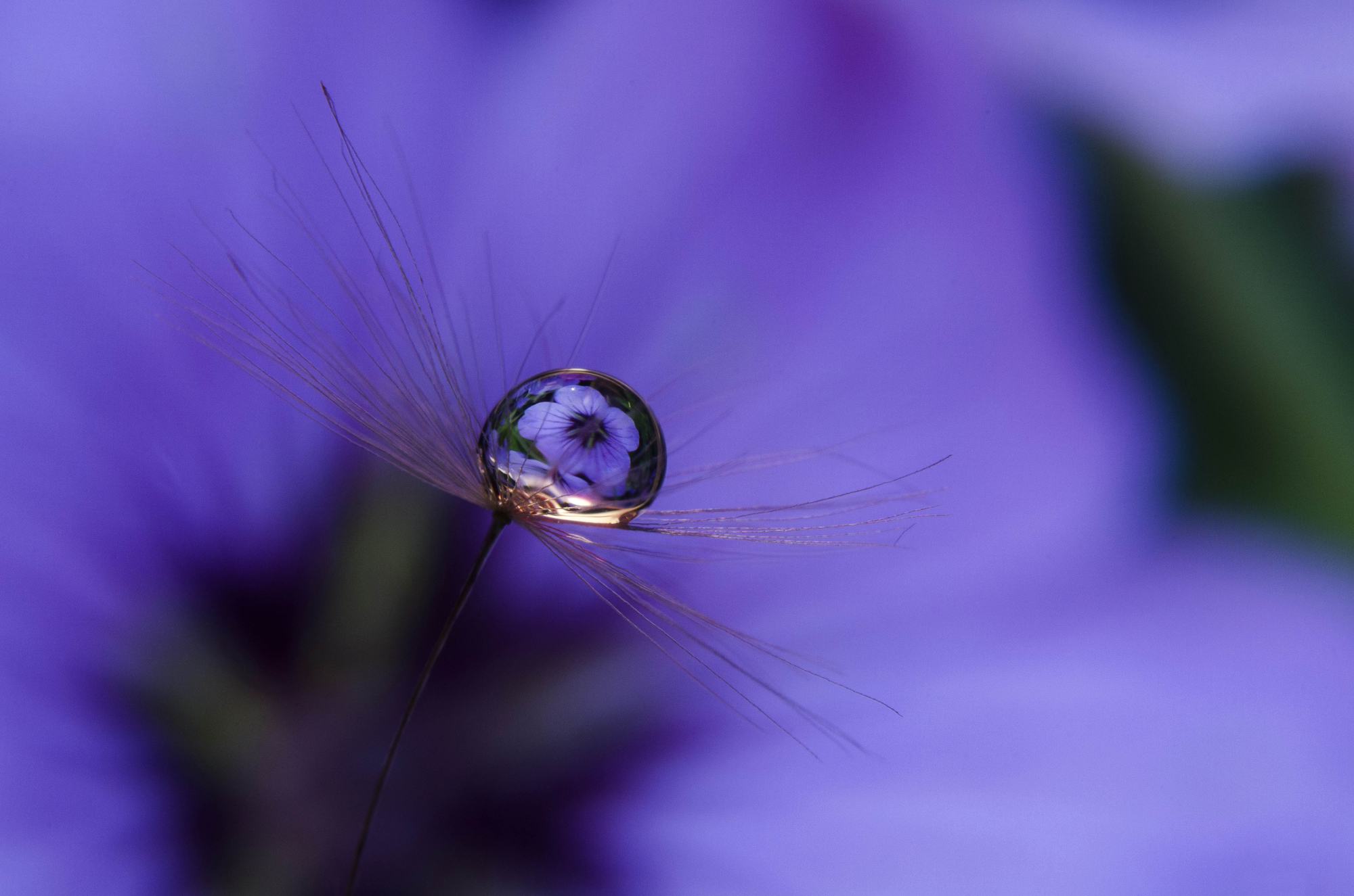 Deep Blue... di Licia Piazza