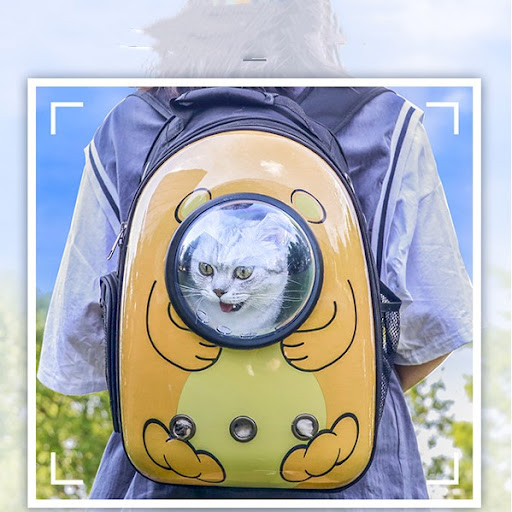 Title 11, Cat Bag Going Out Portable Double Shoulder To G...