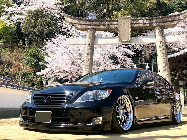 LSのローガン・愛媛・桜とコラボ・勝岡八幡神社・東温市に関するカスタム事例の投稿画像1枚目