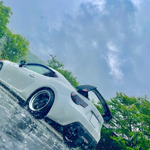 86 ZN6