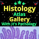 Download Histology Atlas Gallery 2020: Top A+ In Any Exam For PC Windows and Mac 3.9.0.2.87