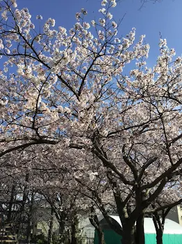 恋愛は甘くなんてかった…