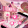 Pink Candy Lolipopo Cute Theme Girls Love Happy Download on Windows
