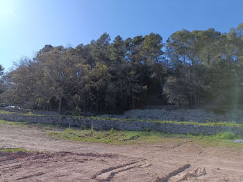 terrain à Frejus (83)