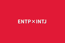 ENTP×INTJ